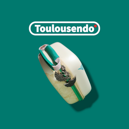 Étui Universel pour Manettes – Édition Dorée Zelda