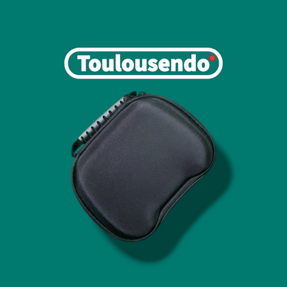 Étui Universel pour Manettes – Édition Dorée Zelda